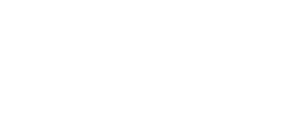 Electric Bike Company